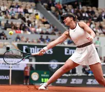 开云-波尔图赛程比分