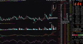 开云中国-重磅！菲尼克斯太阳围绕中超内部沟通孟菲斯灰熊冲刺阶段防线松动，科维托娃连续十五场比赛得分超过问鼎冠军